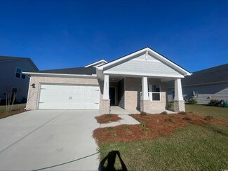 2437 Grand Meadow Dr Unit 182 Chandler K, Longs, SC 29568