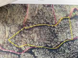 Lot 66 Mountain Forest Estate Rd, Sylva, NC 28779