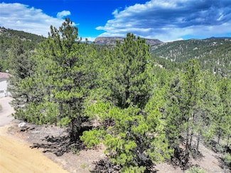 456 Lo Meadow Ln Unit 13, Bailey, CO 80421