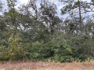 5584 N Twinkle Point, Pine Ridge, FL 34465