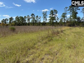 1424 Boatwright Rd, Chesterfield, SC 29709