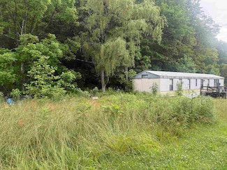 293 Ora Stevens, Sandy Hook, KY 41171