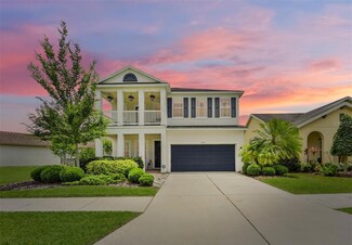 6516 Nestall Ct, Apollo Beach, FL 33572