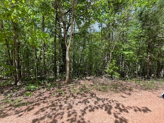 0 Lee Road 72 Unit 176744, Waverly, AL 36879