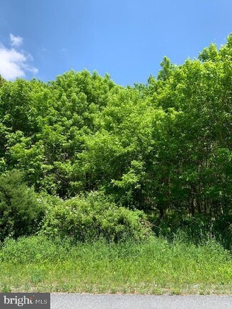 0 Apple Jack Ct Unit 30 PAFL170514, Montgomery Township, PA 17236