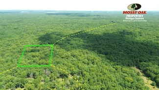 V L W Skeels Rd, Rothbury, MI 49452