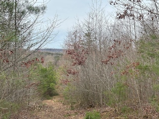 0 5 07+ -Acres Browns Hollow Rd, Tracy City, TN 37387