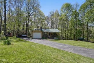 368 Burbank Rd, Roan Mountain, TN 37687