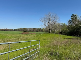 Highnote Rd, Hartford, AL 36344