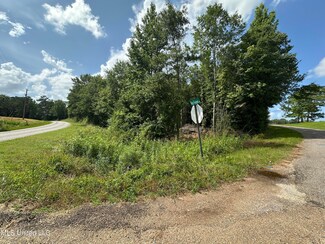 66 Pete Freeman Rd, Decatur, MS 39365