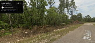 1932 W Adelia Place, Citrus Springs, FL 34434