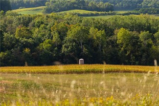 S397 Sand Rd, Mondovi, WI 54755