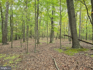 0 Sideling Mountain Trail - Lots 64 & 65 Unit WVMO2005108, Great Cacapon, WV 25422