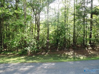 74 Harbor Light Trail, Jasper, AL 35504