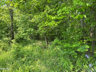 Off Hillside Dr, Gallitzin Township, PA 16613
