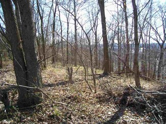 Lot 144 Springbrook Dr, Kenova, WV 25530