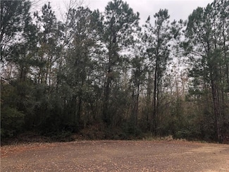 419 Parlange Dr, Pearl River, LA 70452