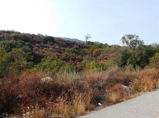 0 Carancho Rd Unit OC24090015, Temecula, CA 92590