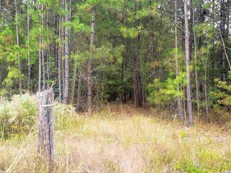 TBD Senator Gasque Rd, Mullins, SC 29574