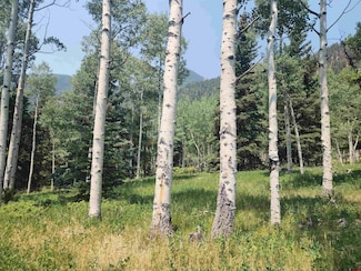 19 Oliver St, Monte Vista, CO 81144