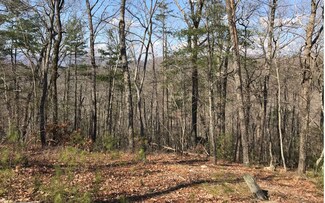 0 Paradise Ln Lt 21 B1, Ellijay, GA 30536