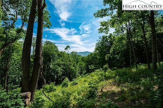 0 Spring Water Ln, Beech Mountain, NC 28604