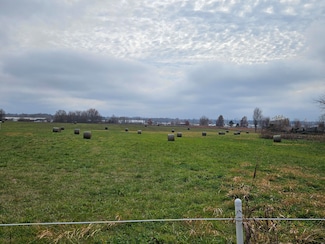 000 Red Springs Rd, Mountain Grove, MO 65711