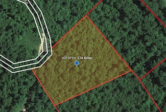 172 Gerber Daisy Trail, Bragg, WV 25918