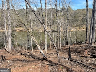 0 Hwy 36 Unit LOT 3 10525315, Woodland, GA 31836