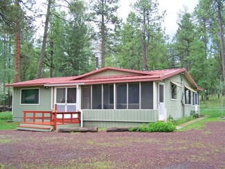 16 County Road 2065 Unit 2050, Alpine, AZ 85920