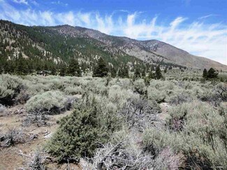 2463 Eagle Ridge Rd, Carson City, NV 89705