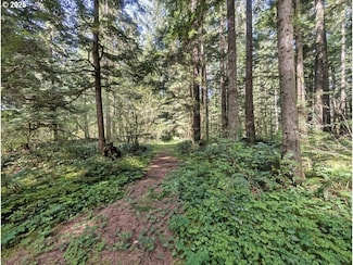62955 E Mountain Country Ln, Mount Hood Village, OR 97011