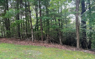 LT 40 Double Knobs Dr, Hayesville, NC 28904