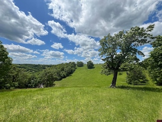 0 Downes Rd E, Bergman, AR 72615