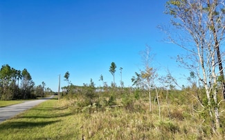 VAC 82nd Terrace, Live Oak, FL 32060