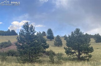 878 Anges Dr, Cripple Creek, CO 80813