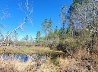 0 Rock Island Rd Unit 13326476, Perry, FL 32347