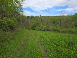 344 Whaupaunaucau Rd, North Norwich, NY 13815