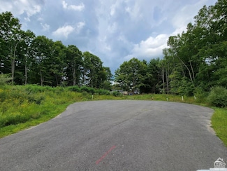 0 Chestnut Ct Unit 156459, Claverack, NY 12565