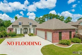 13043 Eagles Way Ct, Geismar, LA 70734