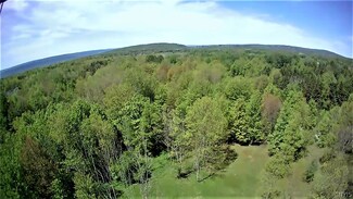 0 Cogar Dr Unit S1407751, Schuyler, NY 13340