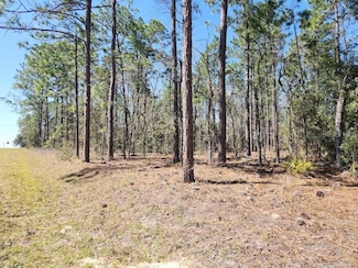 Lot 12 SW 66th St, Ocala, FL 34481