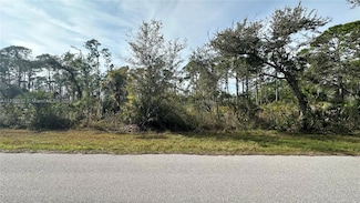12493 Harlow Ave, Port Charlotte, FL 33953