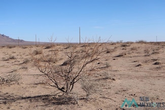 0 Sierra Ln SW Unit 20247118, Deming, NM 88030