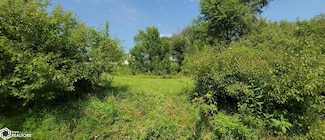 8115 Linden St, Dexter, IA 50070