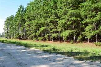 0 NE Longleaf Trail Unit 262083, Lee, FL 32059