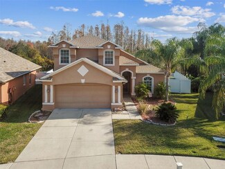 31416 Philmar Ln, Wesley Chapel, FL 33543