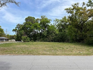 461 E Blue Springs Ave, Orange City, FL 32763