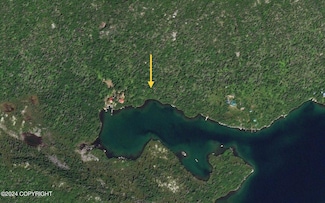 L4 Tantamount Bay, Pedro Bay, AK 99647
