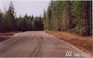 0 1 & 2 E Benson Ridge Rd Unit 1355771, Grapeview, WA 98546